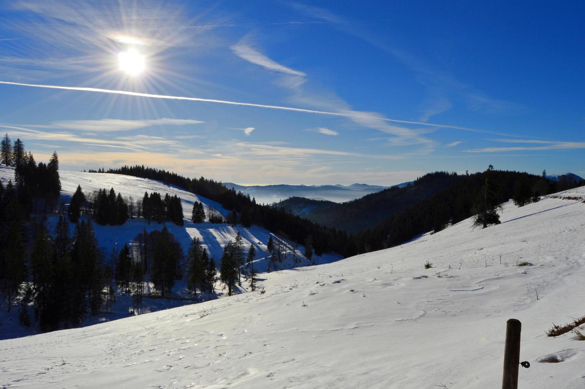 Haus Findling, 10 Personen, Schluchsee, Hochschwarzwaldkarte מראה חיצוני תמונה
