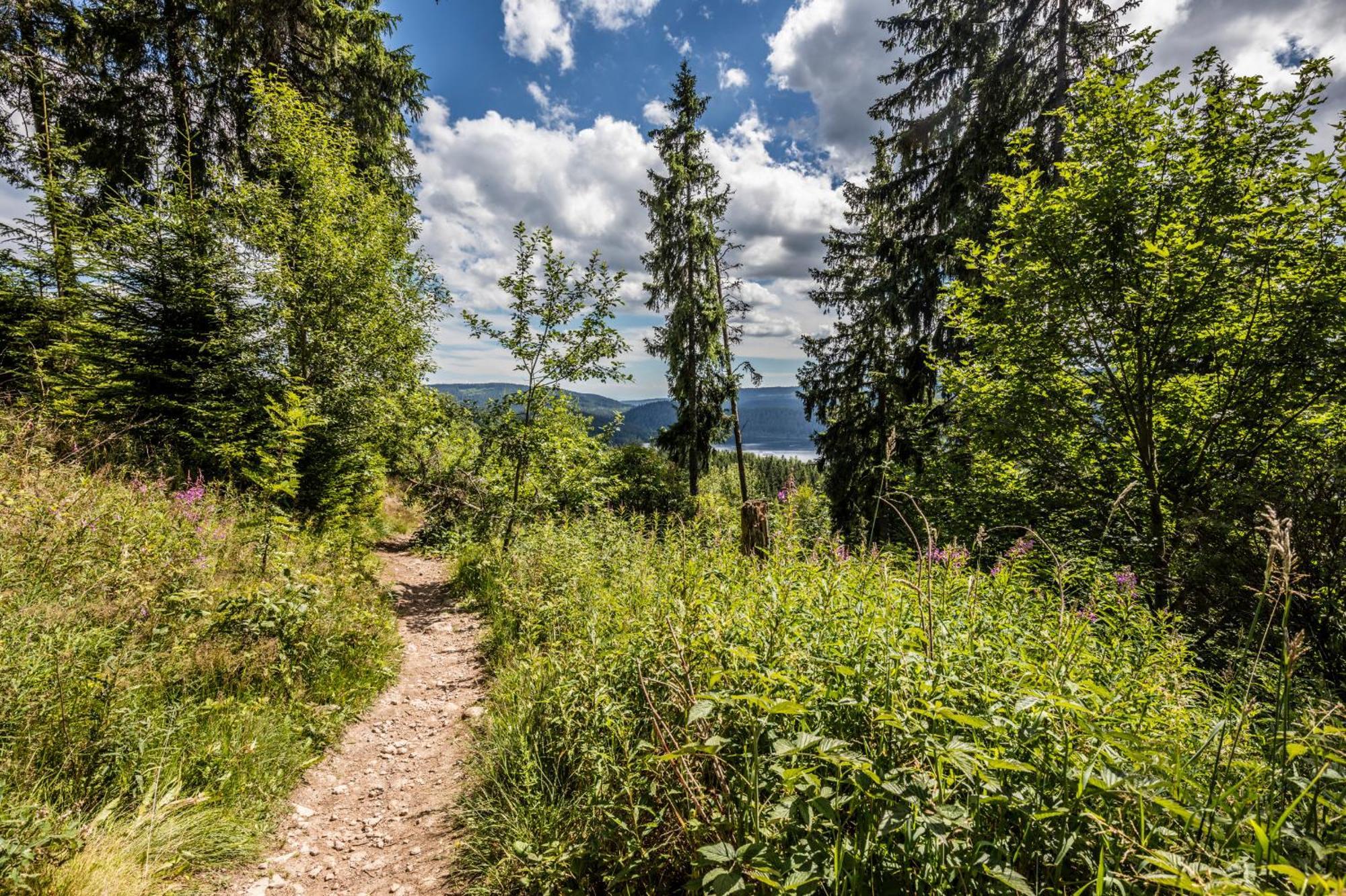 Haus Findling, 10 Personen, Schluchsee, Hochschwarzwaldkarte מראה חיצוני תמונה